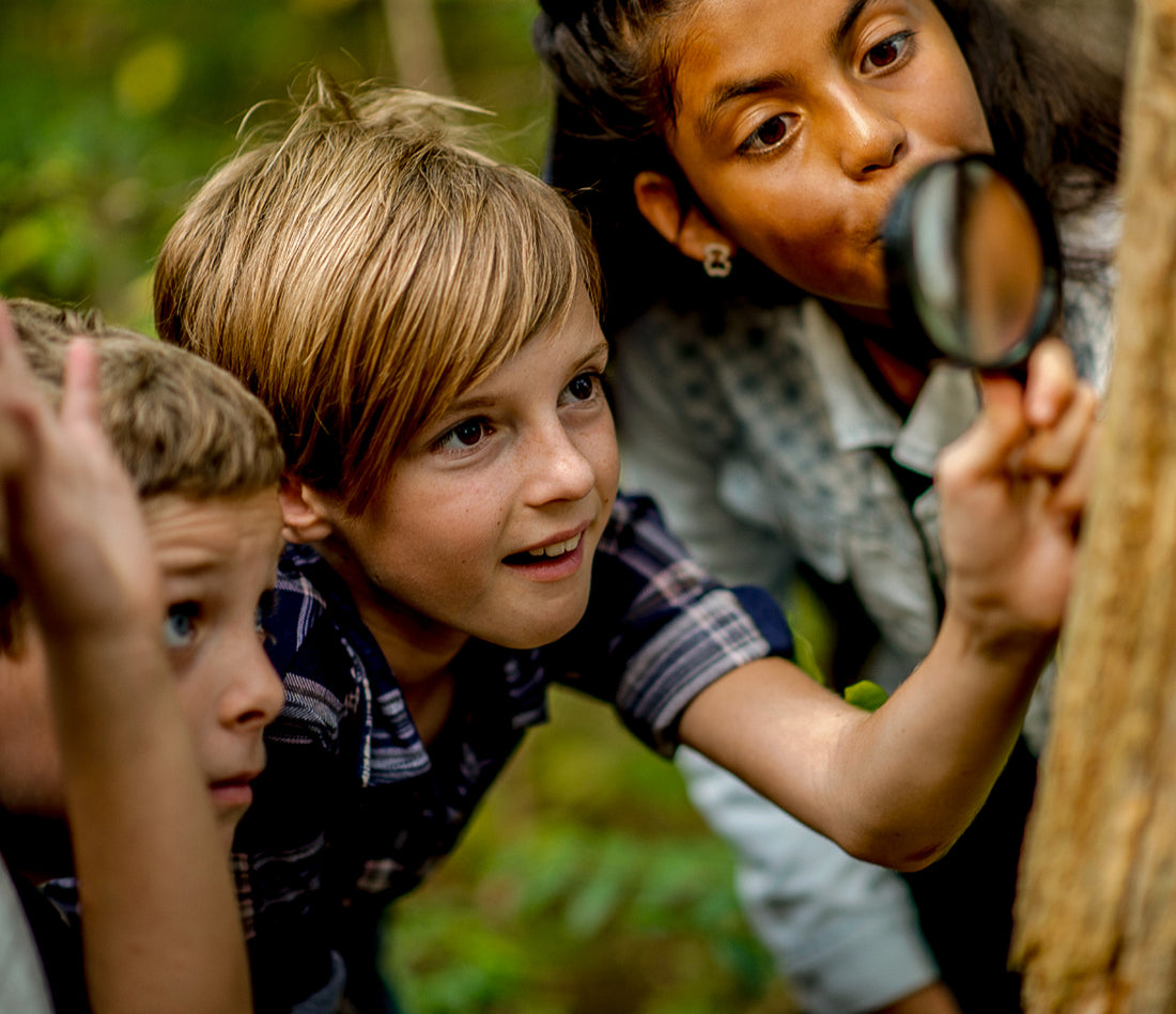 Why Outdoor Education Matters: The Benefits of Nature-Based Learning